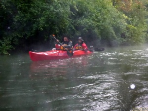 Taubergießen 12.jpg