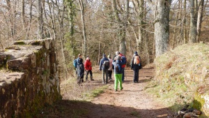 Winterwanderung_2020 18.jpg
