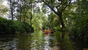 Sonntagspaddeln 2021-09-19 029.JPG