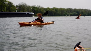 Mittwochspaddeln 044.jpg