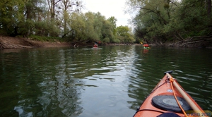 In-den-Tag-Paddeln 2025 19.jpg