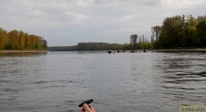 In-den-Tag-Paddeln 2025 43.jpg