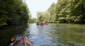 Rhinau 105.jpg