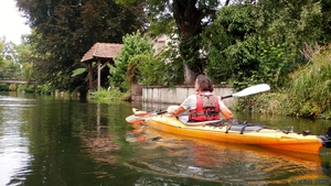 Krummer Rhein41.jpg