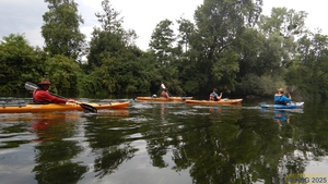 Ottenheimer Mühlbach46.jpg