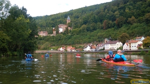 Unterer_Neckar_Eberbach78.jpg