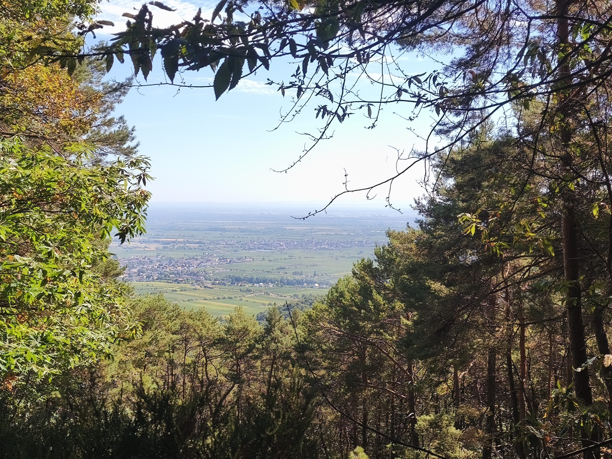 Herbstwanderung am Friedensdenkmal
