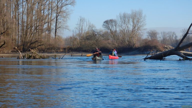 Silvesterpaddeln in Bildern