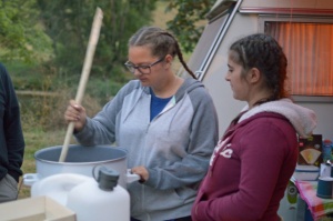 Oberer Neckar 2016 03.jpg