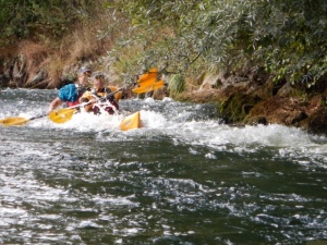 Oberer Neckar 2016 10.jpg