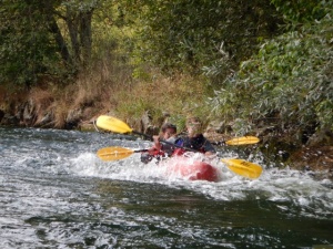 Oberer Neckar 2016 11.jpg