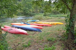 Oberer Neckar 2016 20.jpg