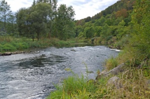 Oberer Neckar 2016 21.jpg