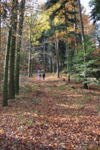 Herbstwanderung_2017 05.jpg
