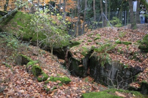 Herbstwanderung_2017 07.jpg