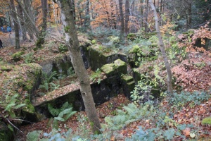 Herbstwanderung_2017 10.jpg