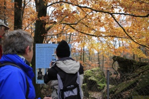 Herbstwanderung_2017 11.jpg