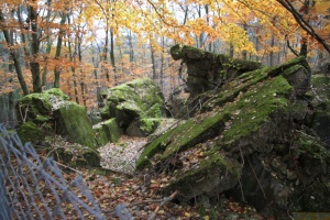 Herbstwanderung_2017 12.jpg