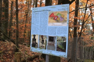 Herbstwanderung_2017 13.jpg