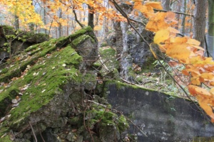 Herbstwanderung_2017 14.jpg