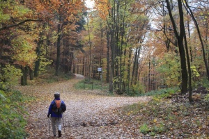 Herbstwanderung_2017 17.jpg
