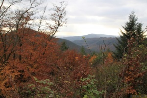 Herbstwanderung_2017 18.jpg