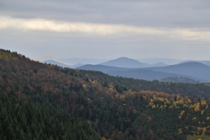 Herbstwanderung_2017 20.jpg