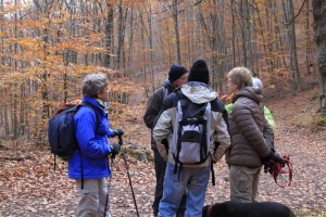 Herbstwanderung_2017 29.jpg