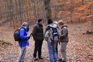Herbstwanderung_2017 31.jpg