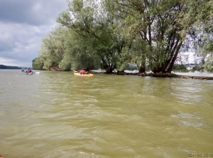 Gedächtnisfahrt Mittelrhein 10.jpg
