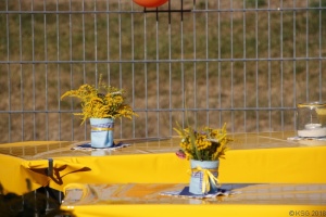 Sommerfest 03.jpg