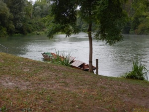 Taubergießen 07.jpg