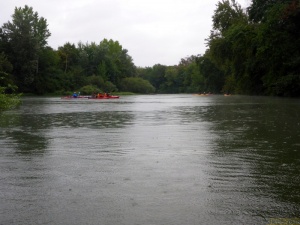 Taubergießen 11.jpg