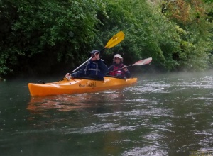 Taubergießen 13.jpg