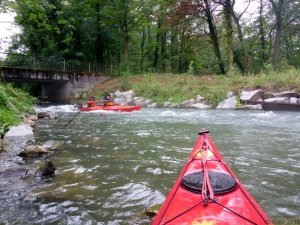 Taubergießen 14.jpg