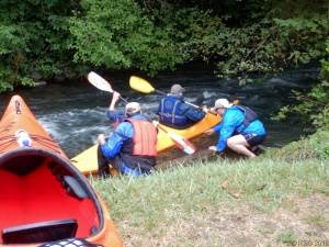 Taubergießen 23.jpg