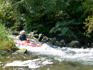 Taubergießen 38.jpg