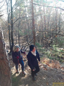 Herbstwanderung 04.jpg