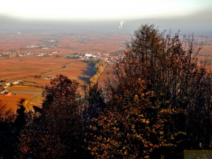 Herbstwanderung 10.jpg