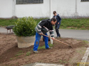 Arbeitseinsatz_März 03.jpg