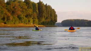 In-den-Tag-Paddeln 2019-05-05 037.jpg