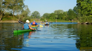 In-den-Tag-Paddeln 2019-05-05 046.jpg