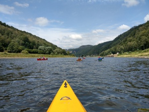 Elbe 10.jpg