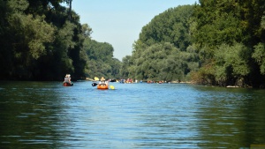 PKV_Abpaddeln 07.jpg