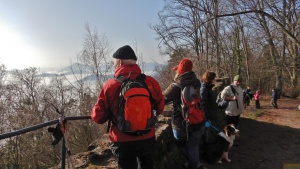 Winterwanderung_2020 16.jpg