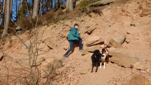 Winterwanderung_2020 31.jpg