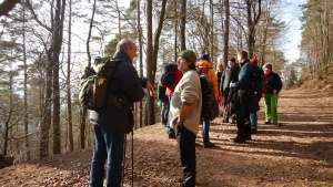 Winterwanderung_2020 19.jpg