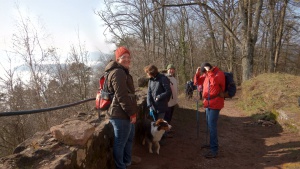 Winterwanderung_2020 17.jpg