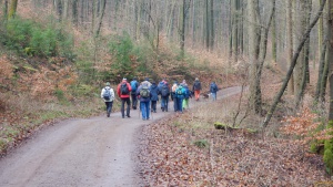 Winterwanderung_2020 04.jpg