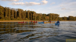 Mittwochspaddeln 16.jpg